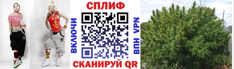 Купить закладки  Богородск  Марихуана THC 21% 